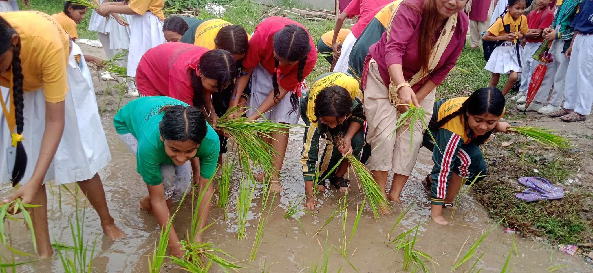 धान दिवस उदयपुृरमा पनि मनाइयो 